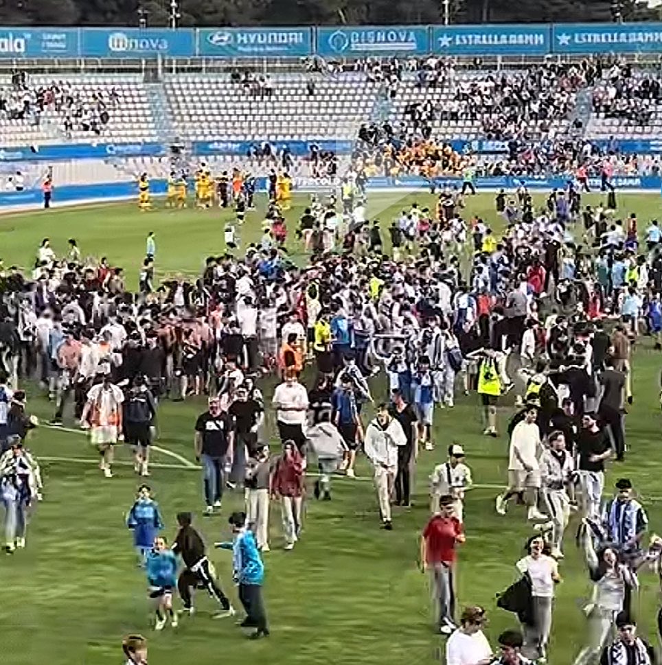 Erasmo de Elda 🦈 tweet media