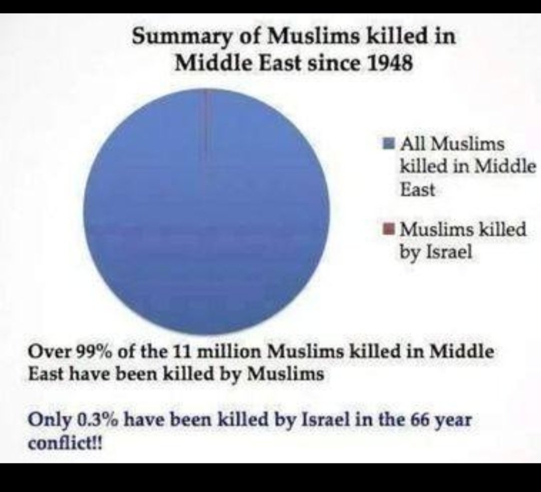 Rashida Tlaib tweet media