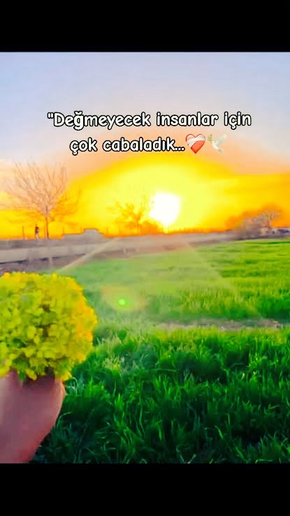 Ecz. Murat (dryopteris filix-mas) 💊🧬🧪 tweet media