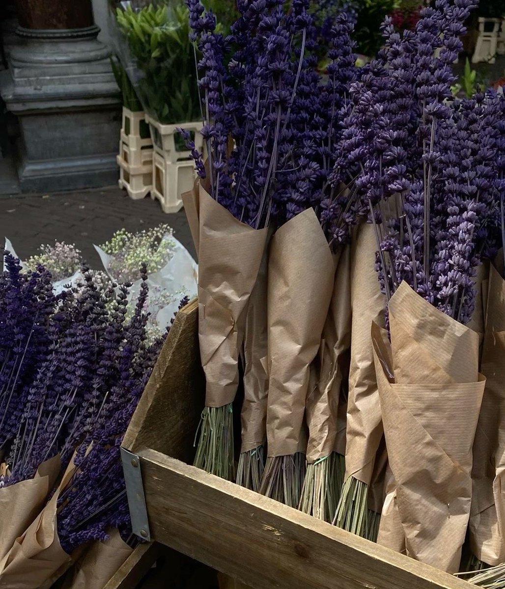 tournesolcore's tweet image. #socmed #partenogay au 𝄞 ⌂ ⋆.🪻༘⋆

dove lucad e luca7 sono due coinquilini che non vanno d’accordo e quest’ultimo, per conquistare la simpatia dell’altro, prova a coccolarlo con le sue cose preferite. i due, però, si ritroveranno in conservatorio in modo…inaspettato