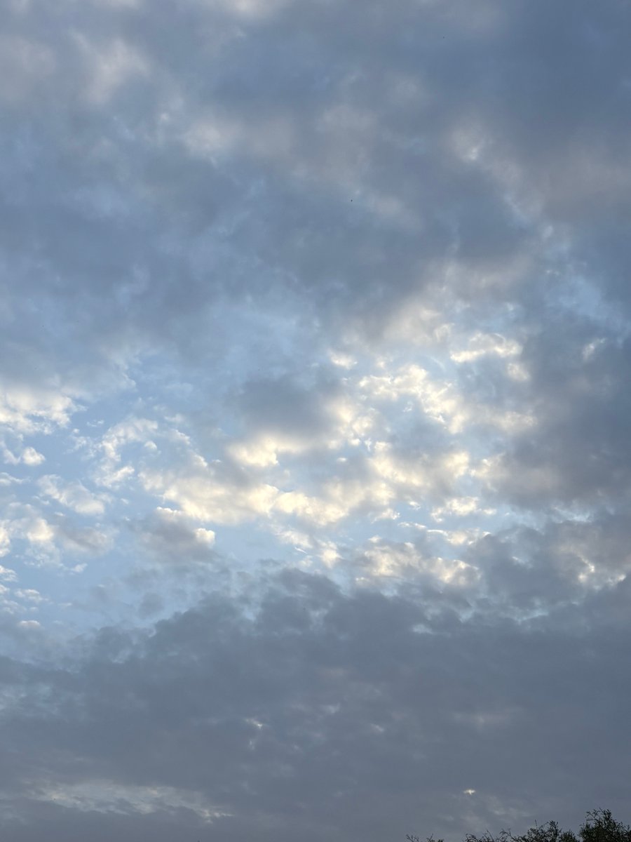 دكتور جاسم خلفان tweet media