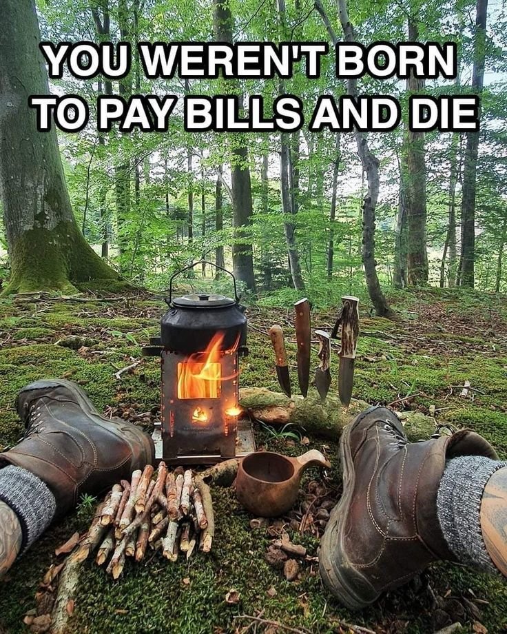 Mountain Cabins tweet media