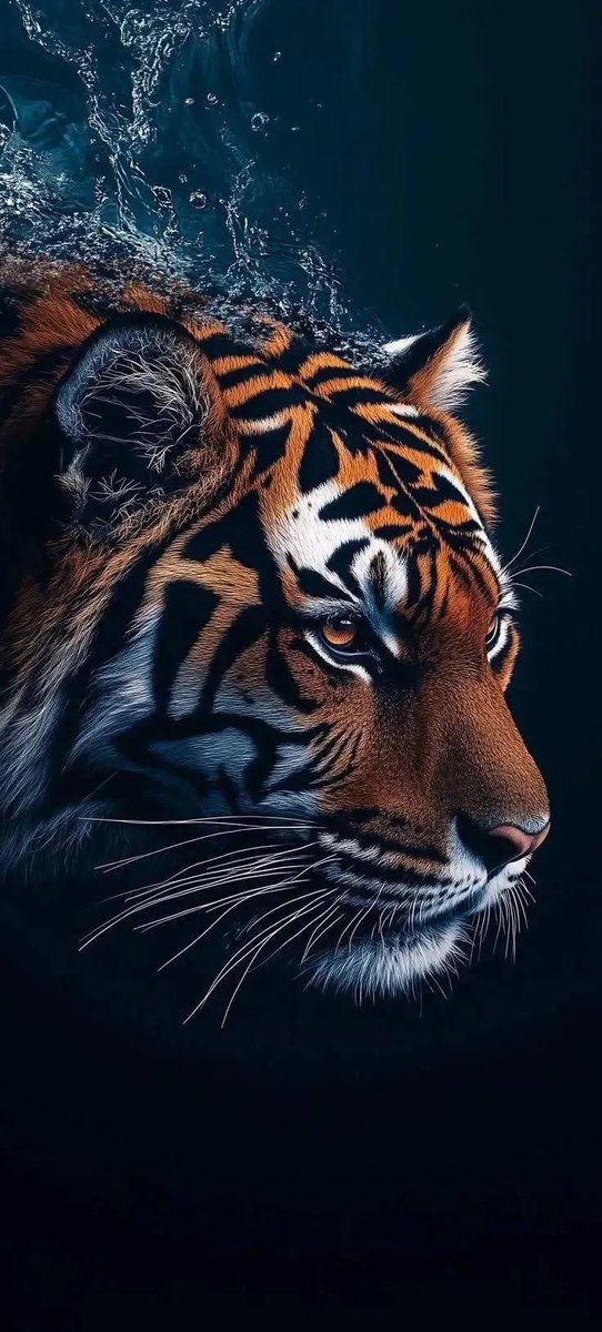 itischalz's tweet image. Tap, hold, &amp;amp; load wallpapers in 8K! #wallpaper4k (4578 × 8290)

#iOS #android #Wallpapers