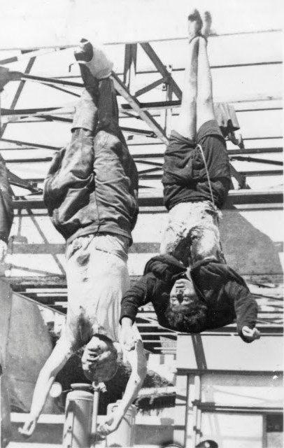 Naru🐟🏆🦊🍶 tweet media