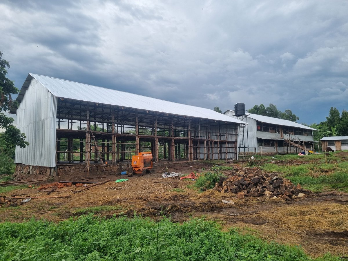 Dr. Daniel Masaba tweet media