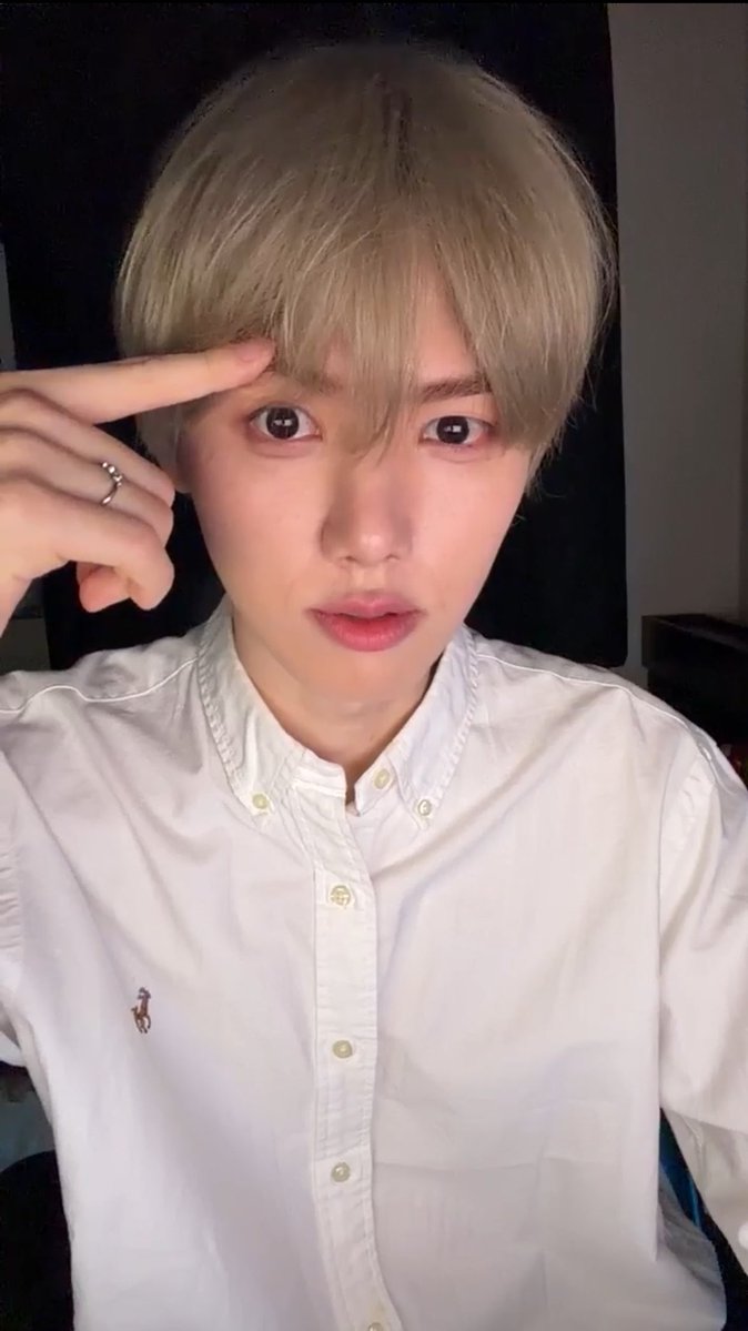 황금날개토끼 tweet media