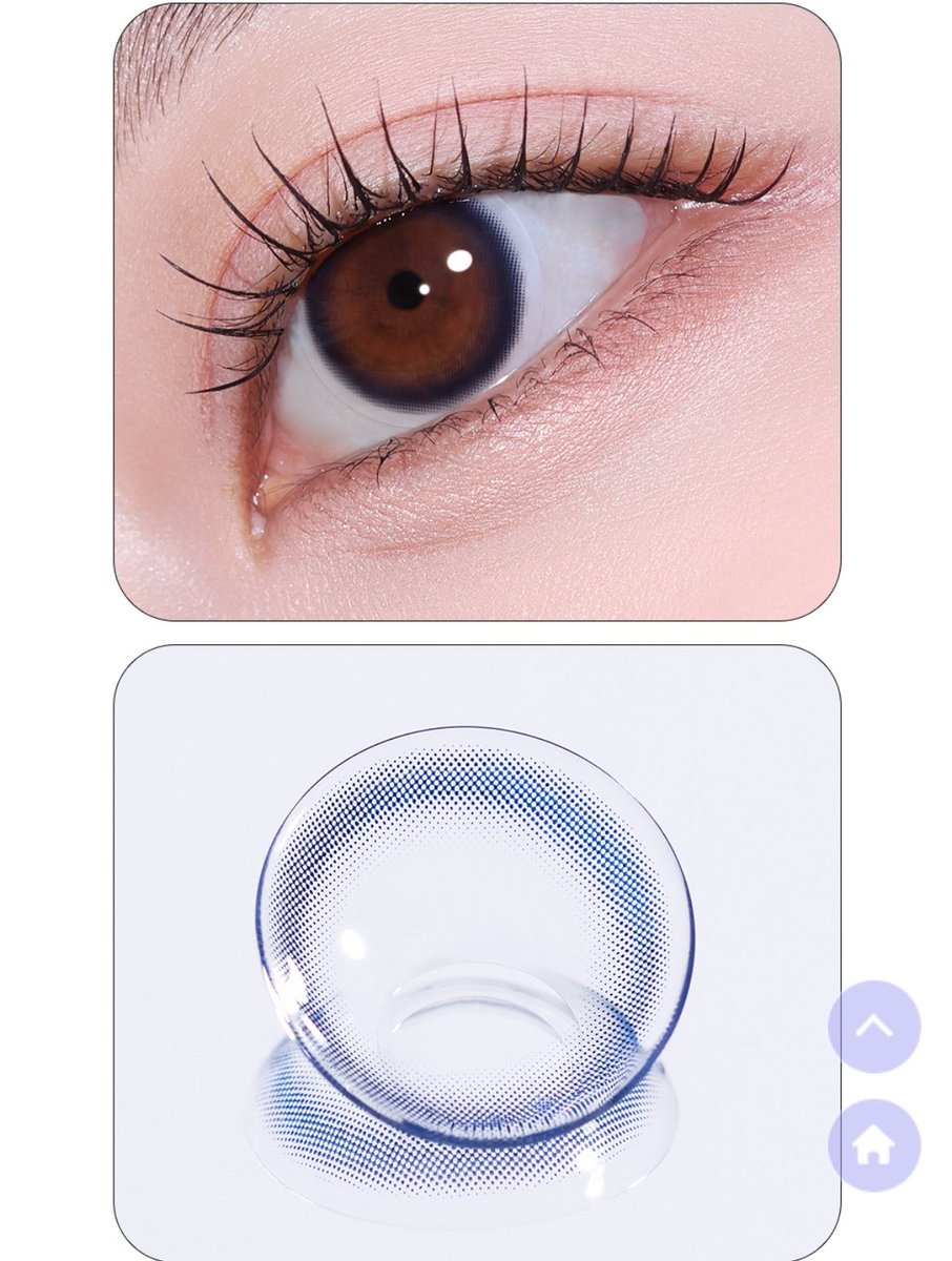 황금날개토끼 tweet media