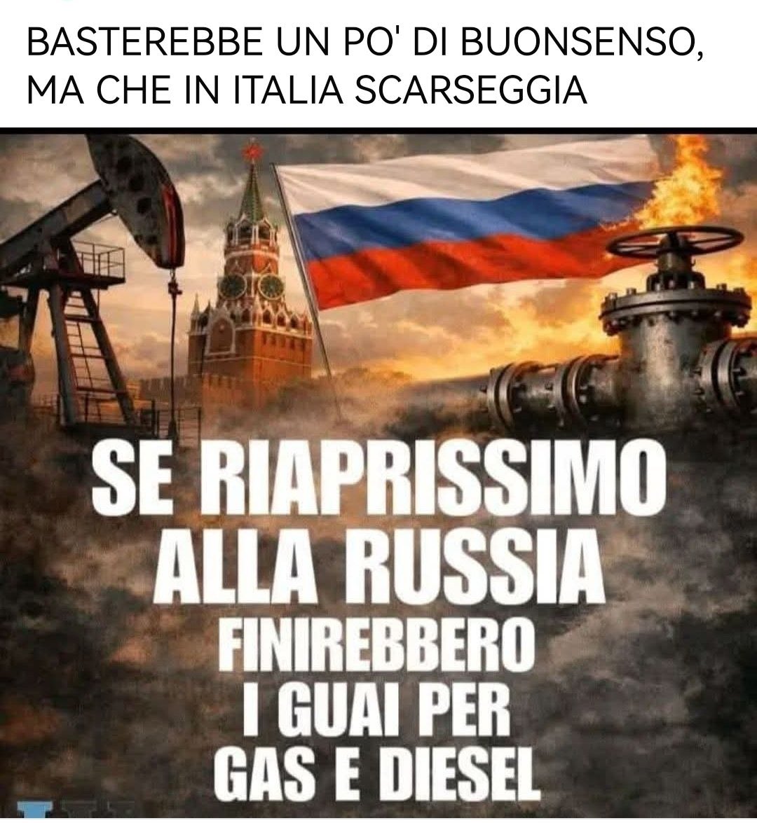 sandy 🔥🤷‍♀️🗣️🖤💚🖤 tweet media