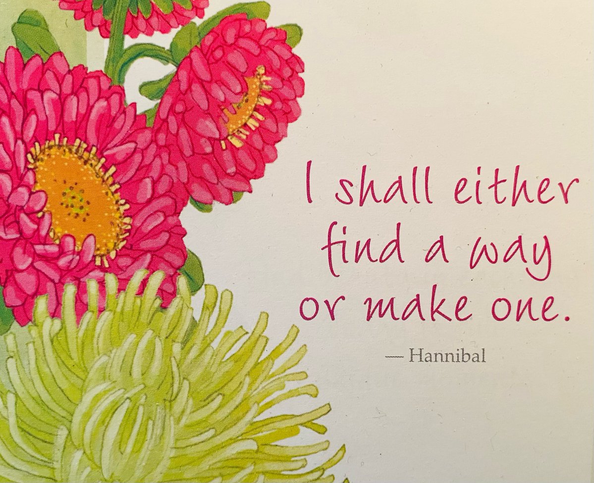 maryanne_pope's tweet image. Boom💃

#amwriting #writerslife #TuesdayThoughts