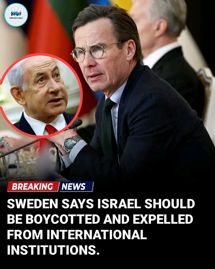 Jack Stuart tweet media