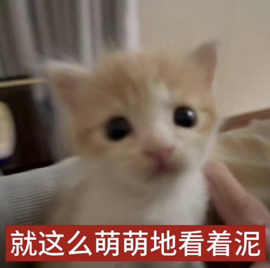 哥哥控 tweet media
