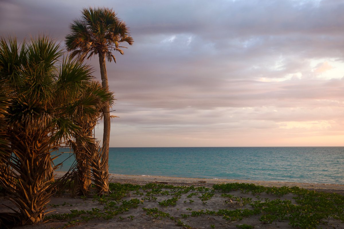 Nature Focus tweet media