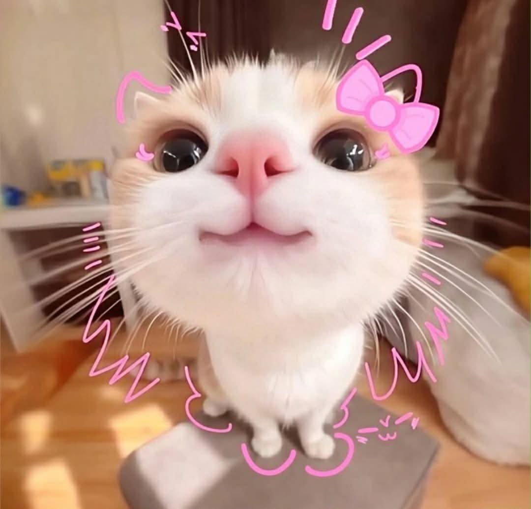 LingOrm_TagTrend 📈 tweet media