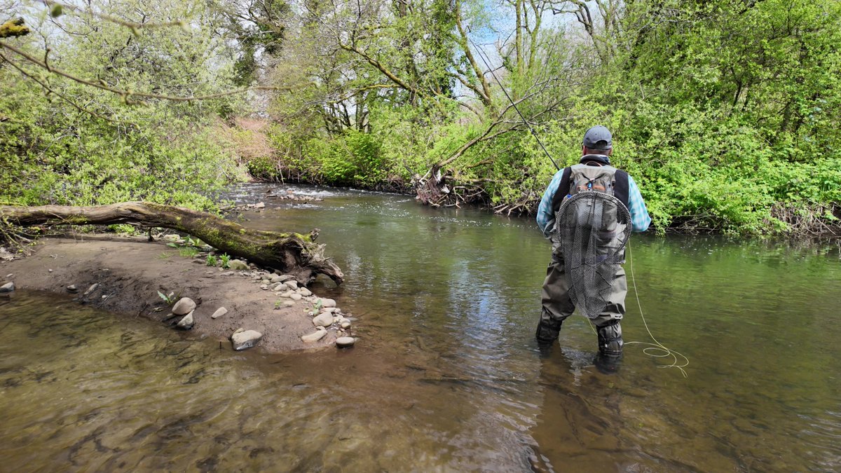 Fishing In Wales 🏴󠁧󠁢󠁷󠁬󠁳󠁿 tweet media