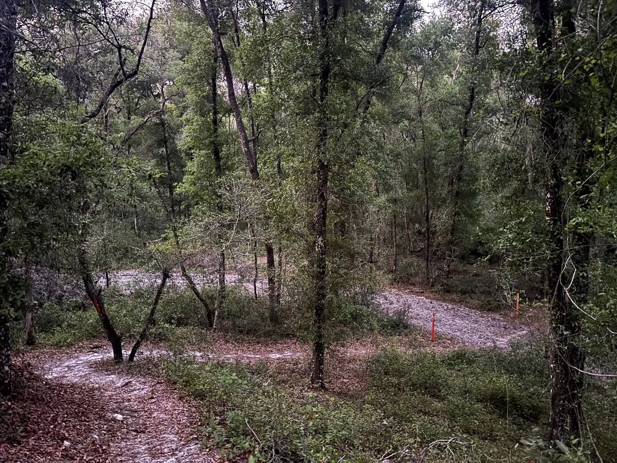SkunkApeEvents's tweet photo. Solid miles of course marking into the night last evening on the Skunk Ape 100 Mile course. One of my favorite sections of the trail! https://t.co/FIpvkELivR