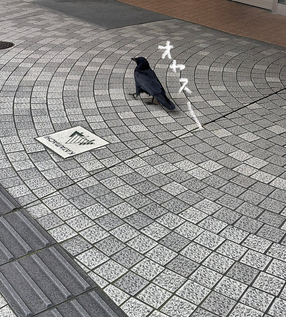 朝宮 日向 tweet media