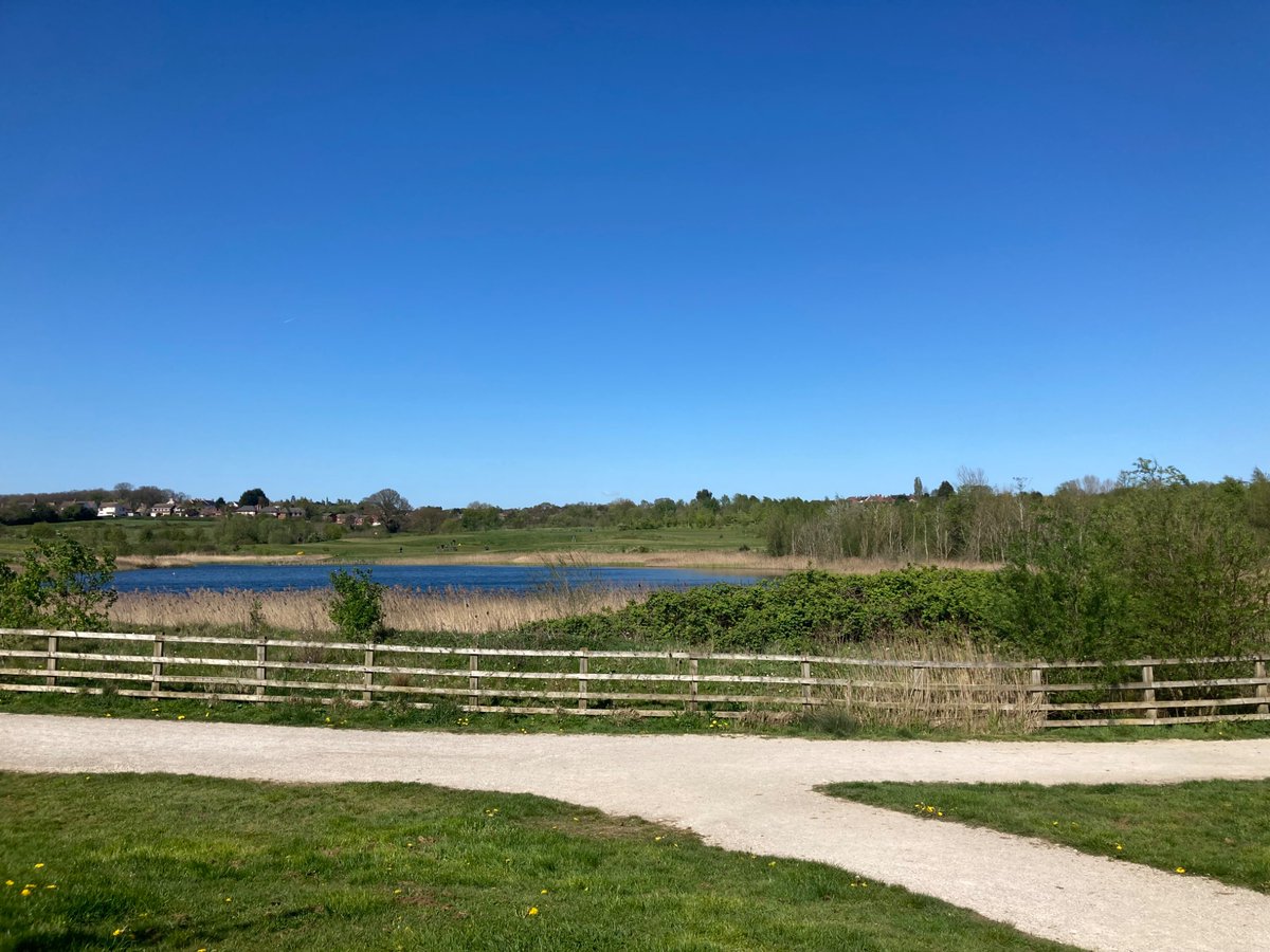 lfchistorical's tweet image. Thanks to my new birdsong ID app I may have found a new hobby. A quick stop here, an old coal mine and open cast site, a 30 minute walk from my front door. #nature #walk
