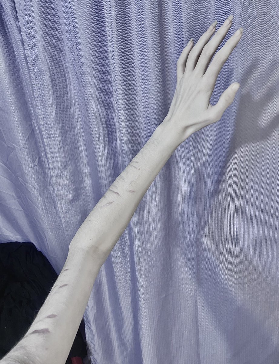 angelica tweet media