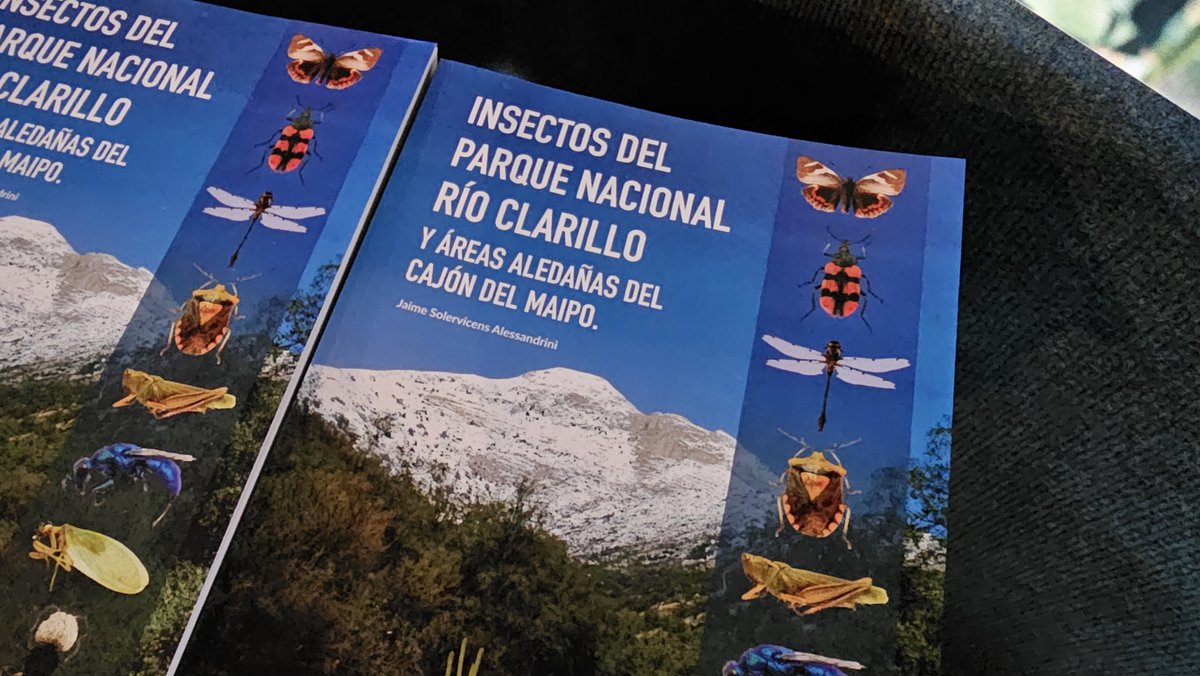 conaf_rm's tweet photo. Autoridades, guardaparques y los hijos del matrimonio Solervicens Cruzat, entregaron el libro “Insectos del Parque Nacional Río Clarillo y áreas aledañas del Cajón del Maipo” a colegios de #Pirque, fortaleciendo la educación ambiental de la comuna🪲🍃 https://t.co/1kirIBQY78