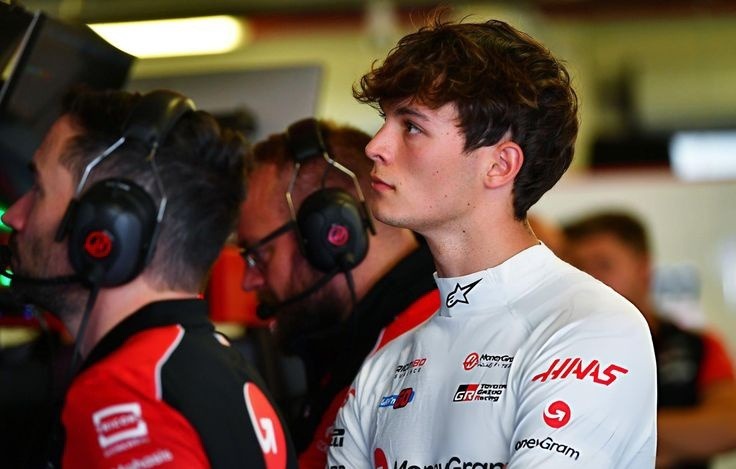 Woodsy Corner. tweet media