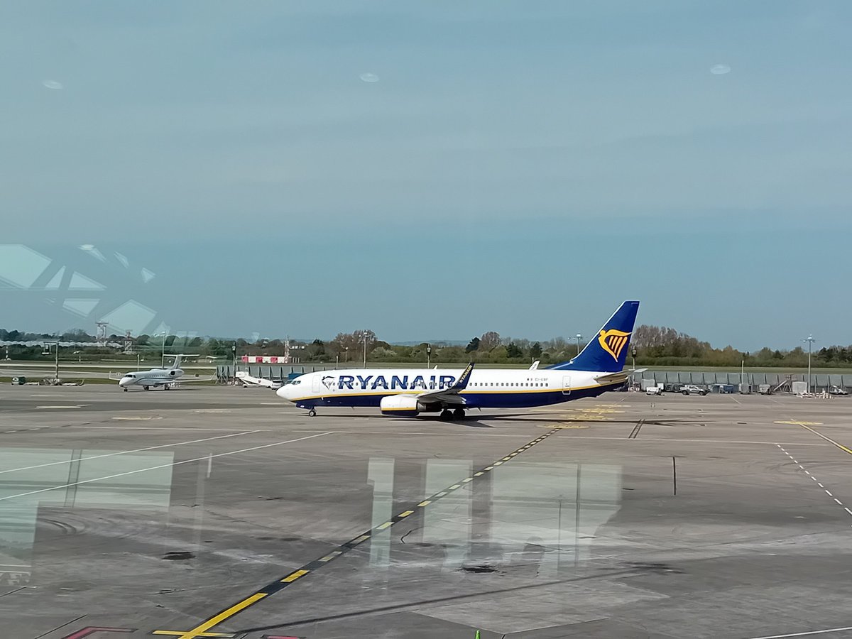 ☘️ Today in Ireland ☘️ tweet media