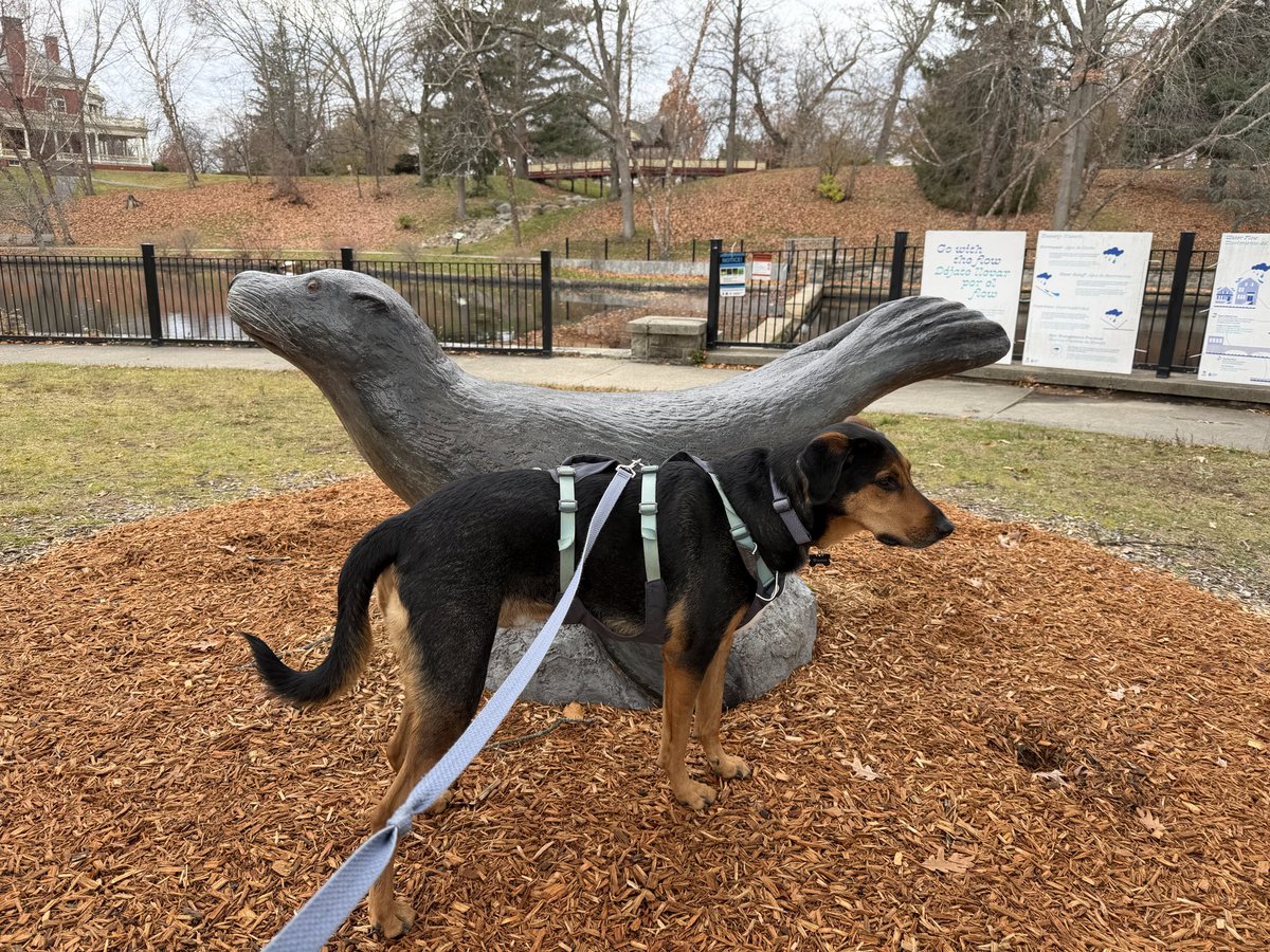 ThisBarbara tweet media