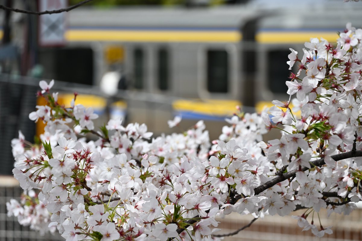 撮ってあげてなかった写真