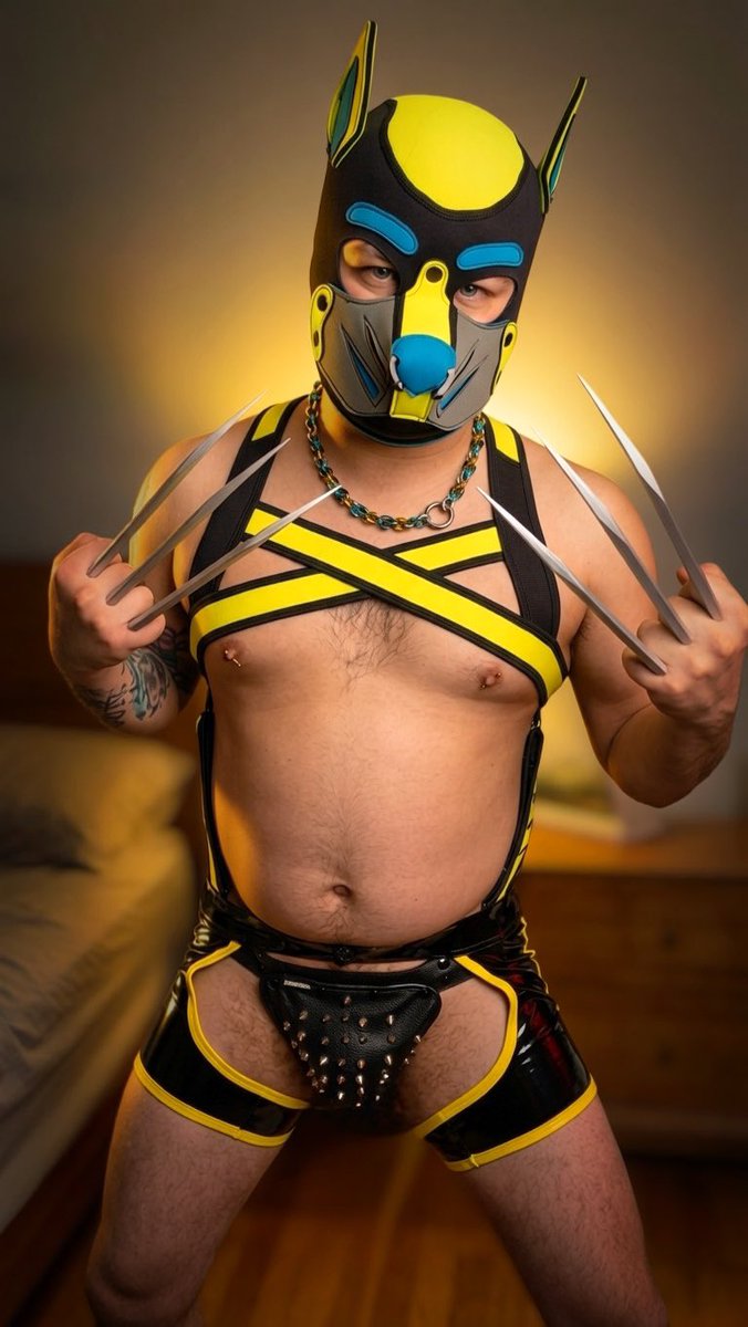 Pup Spike tweet media