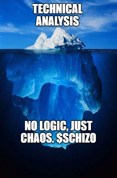 SCHIZO SIGNALS tweet media