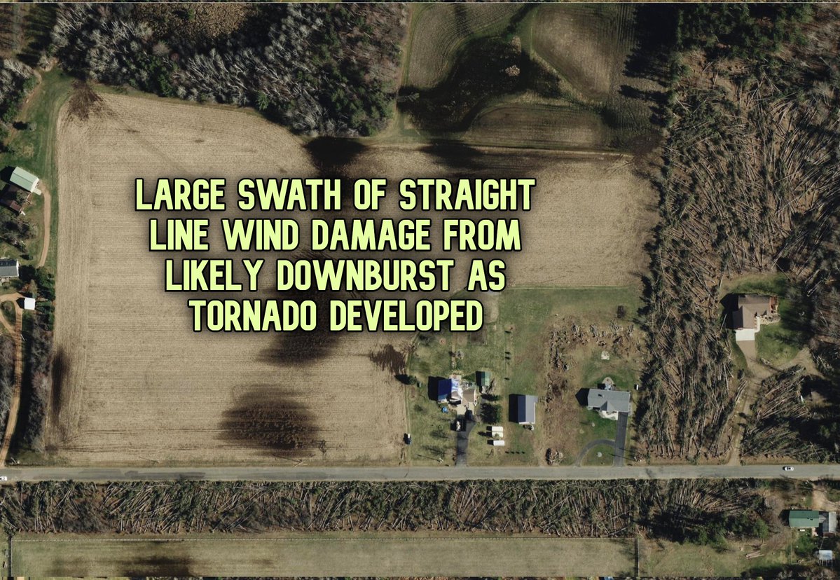 Nick Krasznavolgyi tweet media