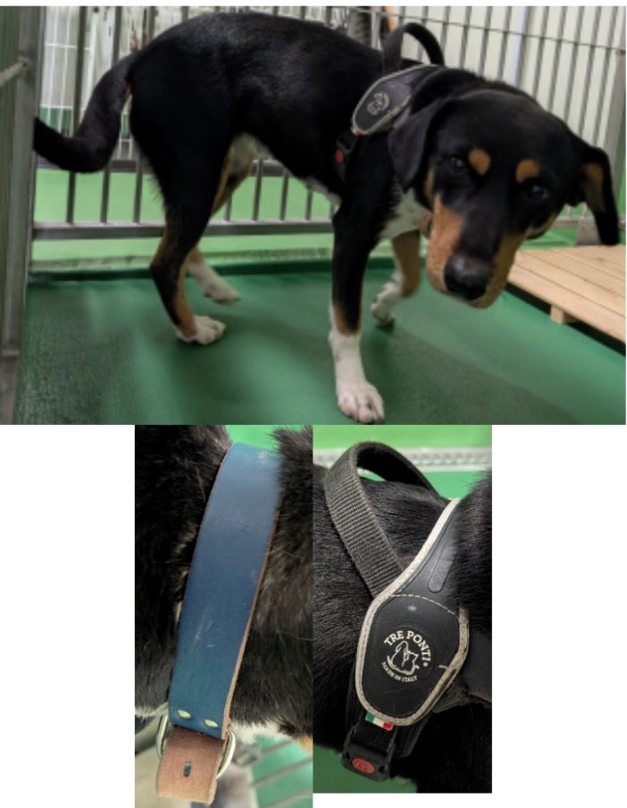 ku-ma返信不具合発生中 tweet media