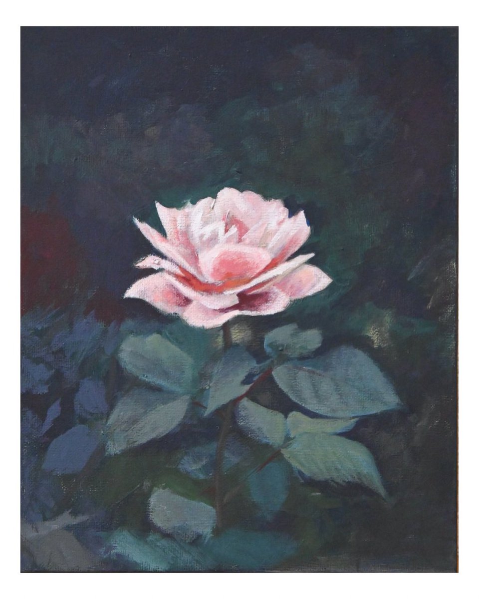 ぽにょ tweet media