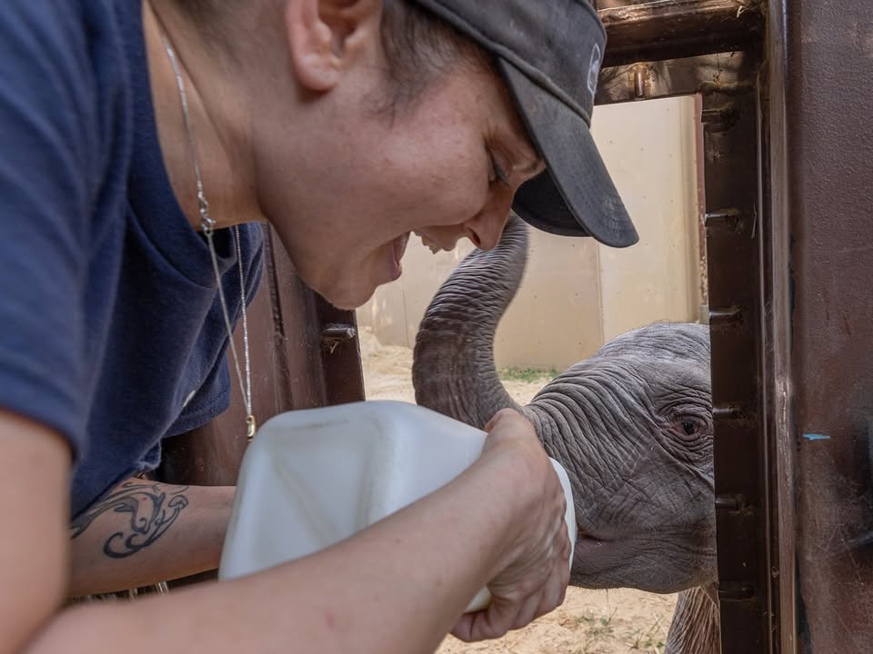 National Zoo tweet media