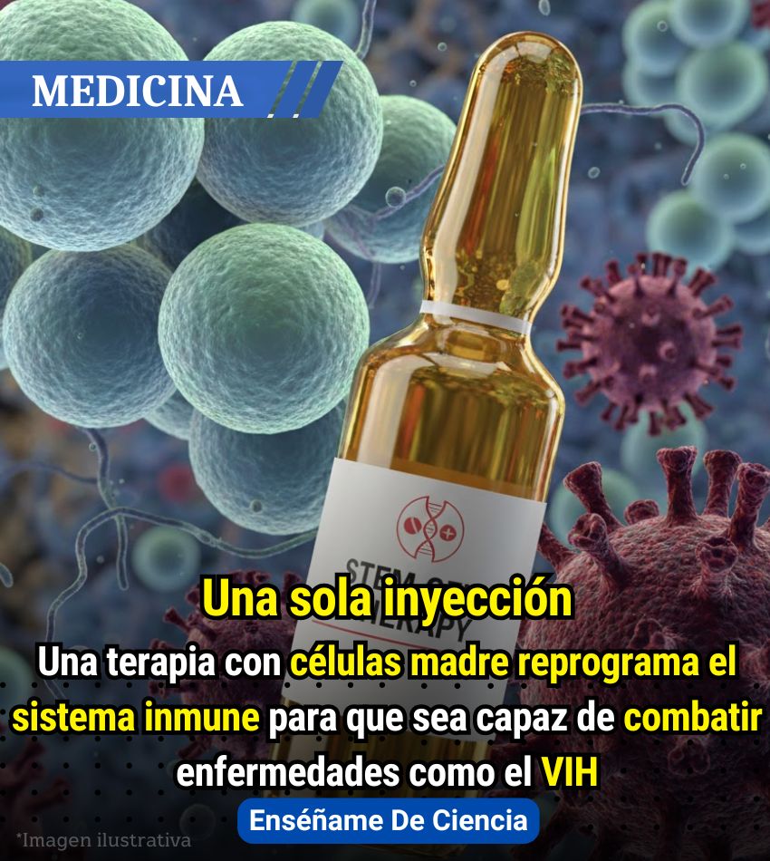 Enséñame de Ciencia tweet media