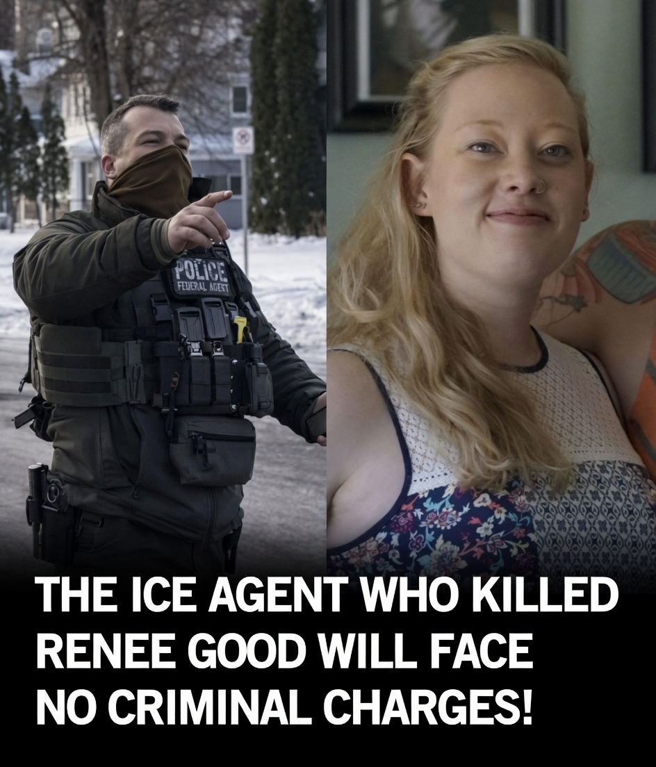 SABUZ VIEW tweet media