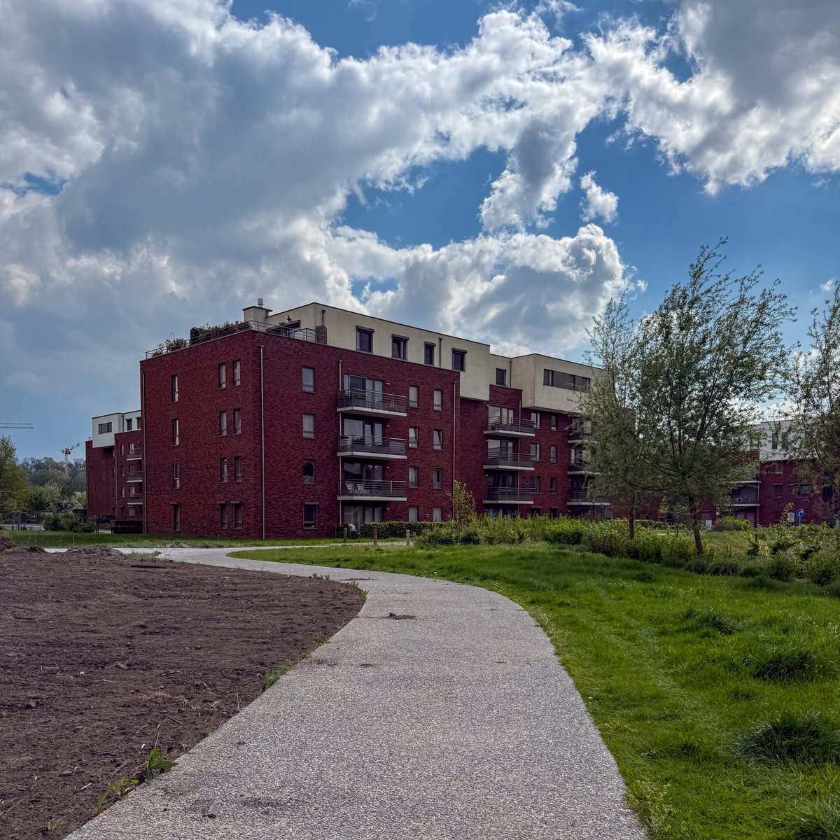 piotrek_cr's tweet image. Udane truchtanie z szybszymi akcentami, a teraz czas zbierać się do pracy. #run #garmin #beatyesterday #jogging #running