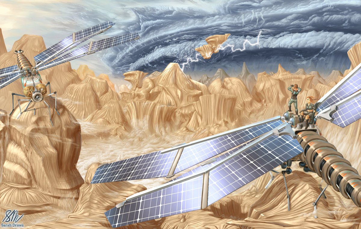 Sarah McKenzie tweet media