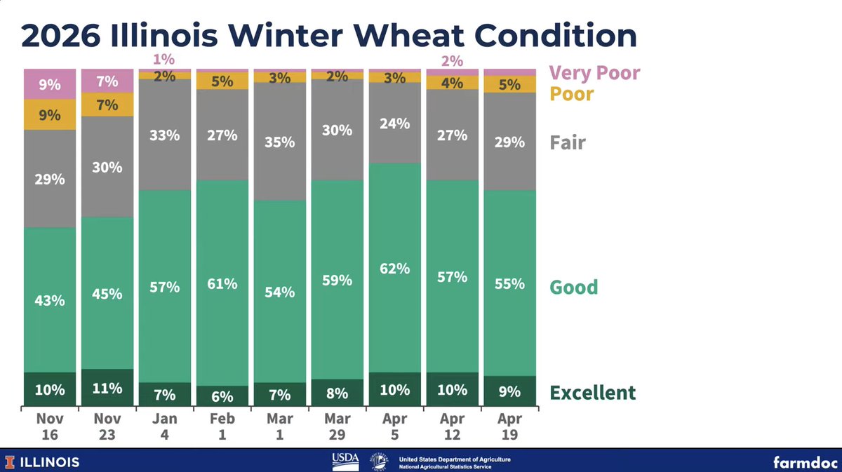 farmdocDaily's tweet image. 1/ Winter #wheat in #Illinois is rated as being in 64% good-to-excellent condition, as of April 19, down 3% from last week.

youtube.com/watch?v=R6icml…