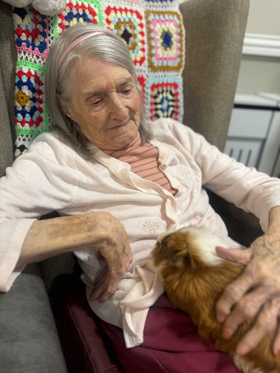 FromeNHome's tweet image. What a lovely few days we've had here! Elisabeth has been making the most of the sunshine, and there really is nothing quite like a bit of animal therapy to put a smile on your face! 🩷
#frome #somerset #caring #responsive