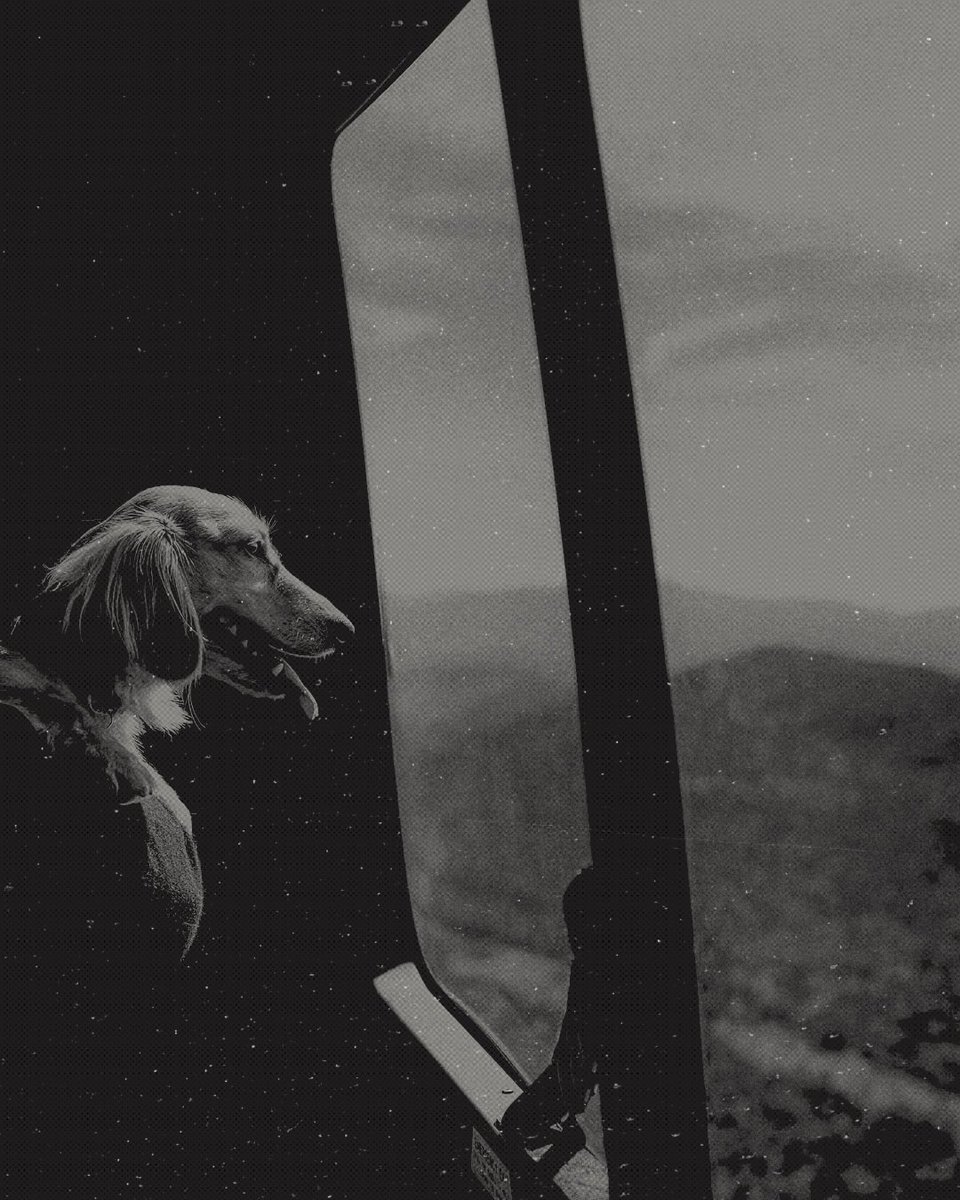 ‍ ‍ ‍ ‍ ‍ ‍‍ ‍ ‍ ‍‍* 𝒍𝒚𝒐 𝐫𝐨𝒛𝒂𝐧𝐨𝐯 .ᐟ tweet media