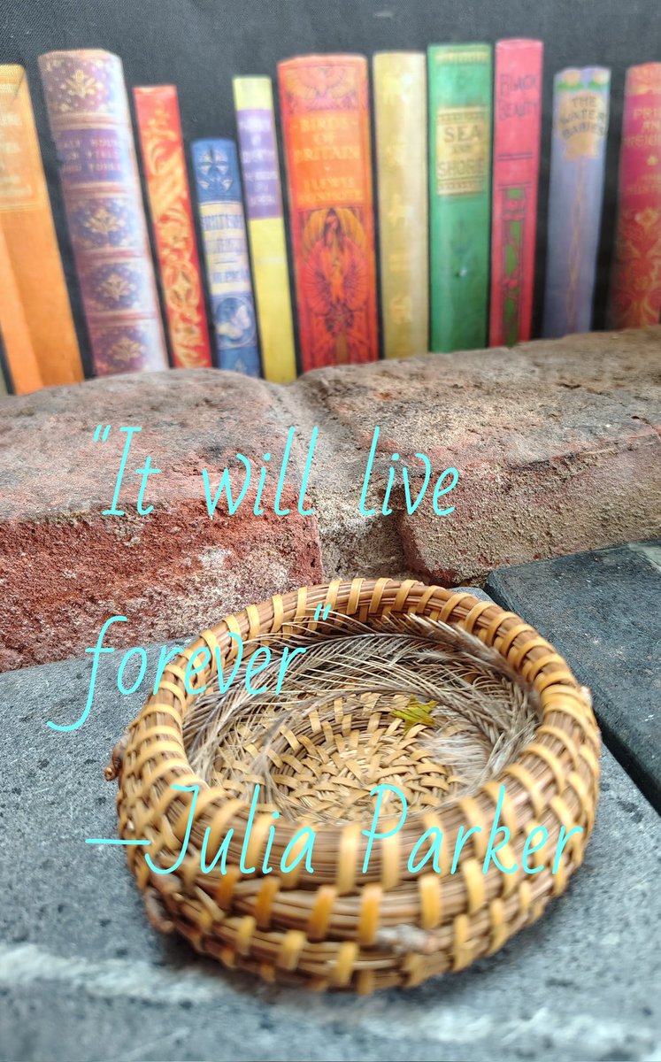 planetweaver's tweet image. One from our Scottish Grandmother. 
One from #MLKJr
🌑🌒🌎🌿🐎🌀🥀🦋✨💫
"Truth forever on the scaffold wrong forever on the throne"
•
"When the crooked things are straightened and the dark things are made known"

#AimTrue🏹

@SecKennedy 
@WantToKnowPEERS 
@NewParadigmInst