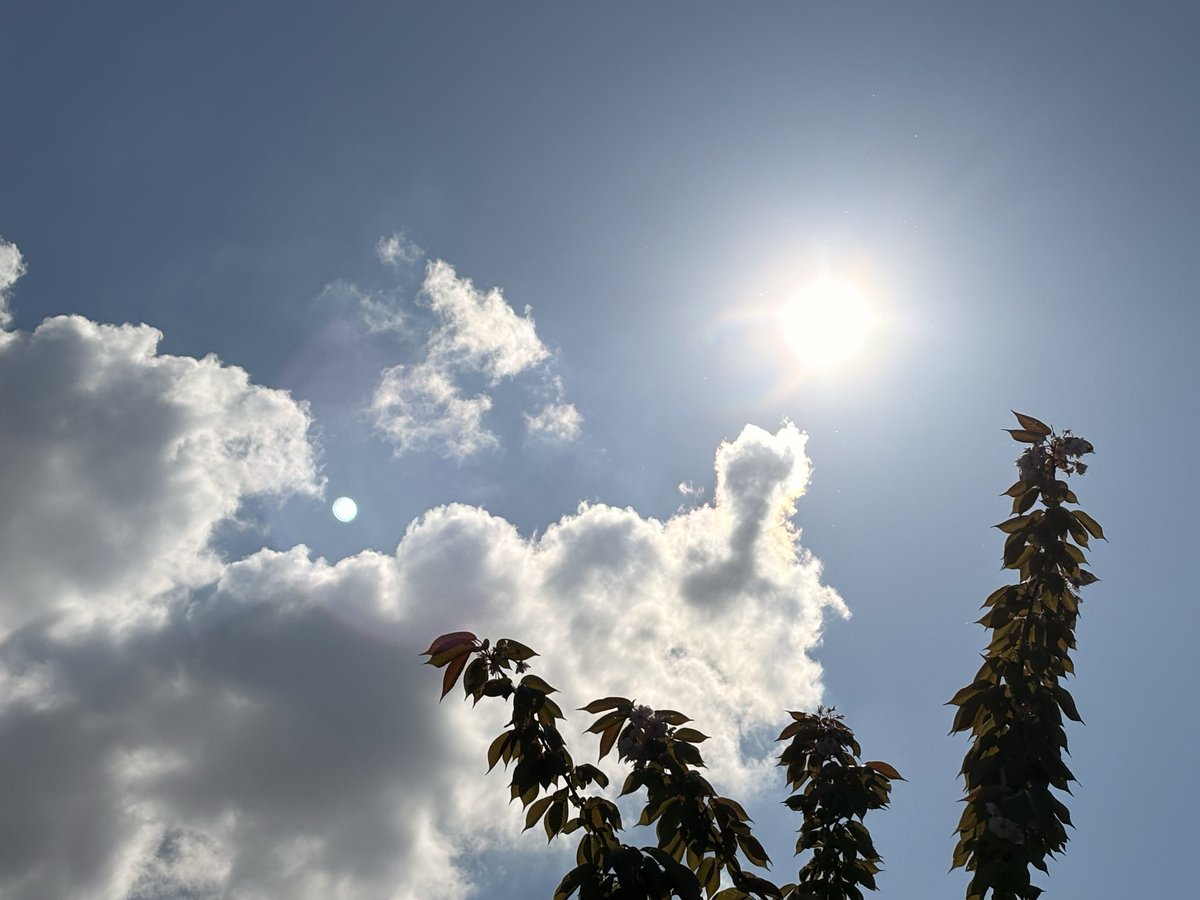 Saskia 🙋🏼♀️ Het wolken vrouwtje ☁️ tweet media