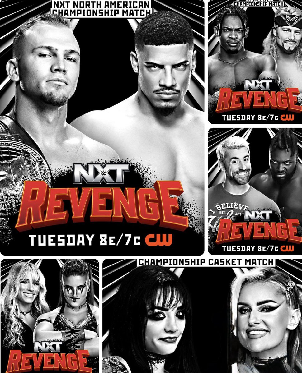 Robert Stone tweet media