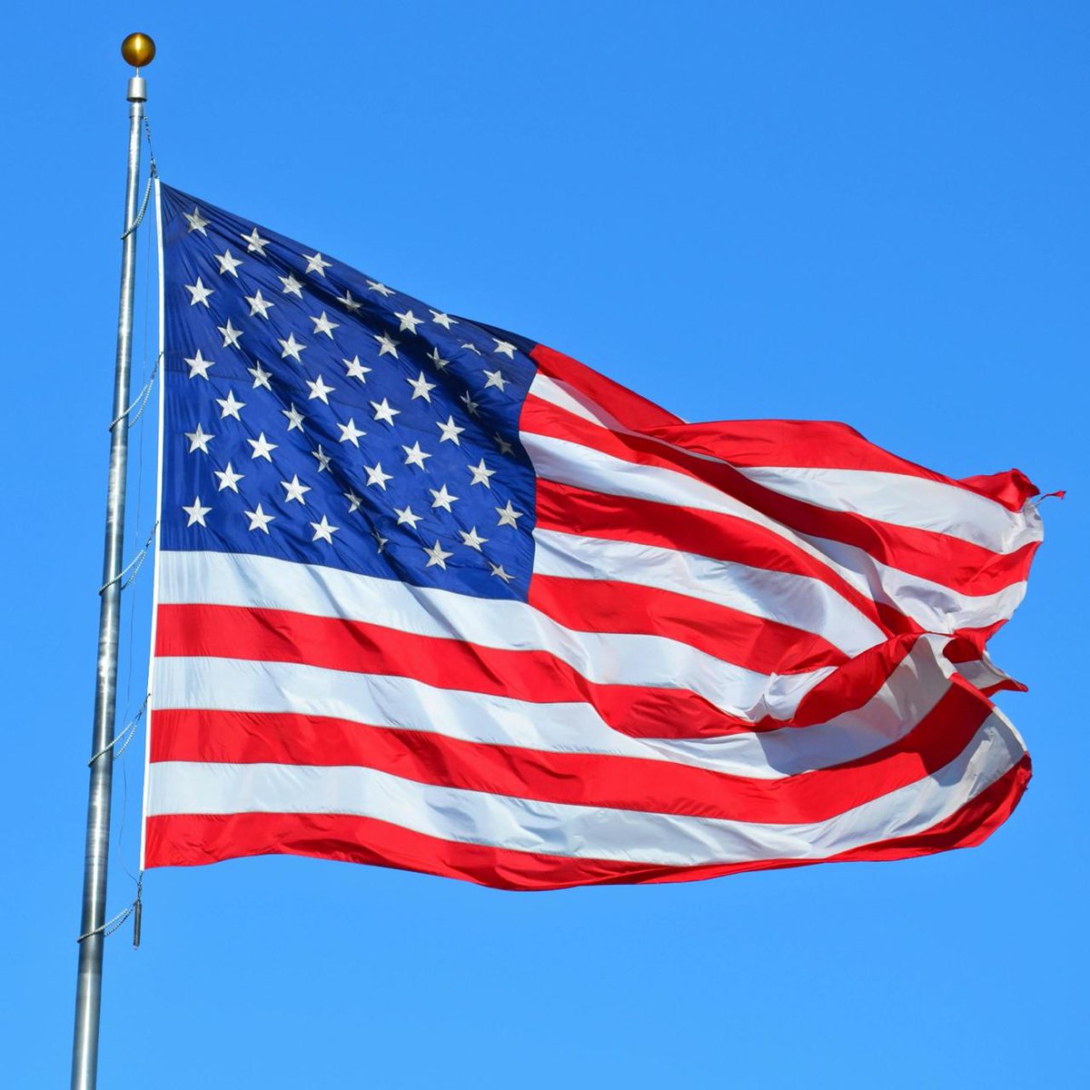 gündemio tweet media