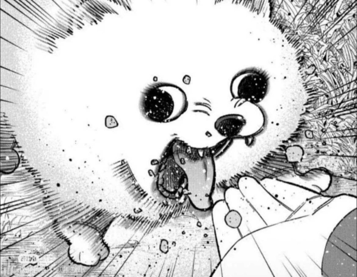 嵐寶雲❤變態人妻Vtuber❤ 孕婦ing tweet media