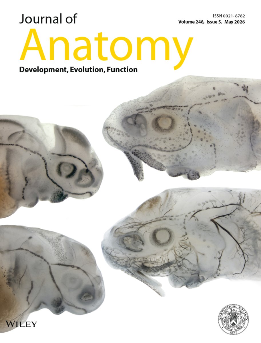 Journal of Anatomy tweet media