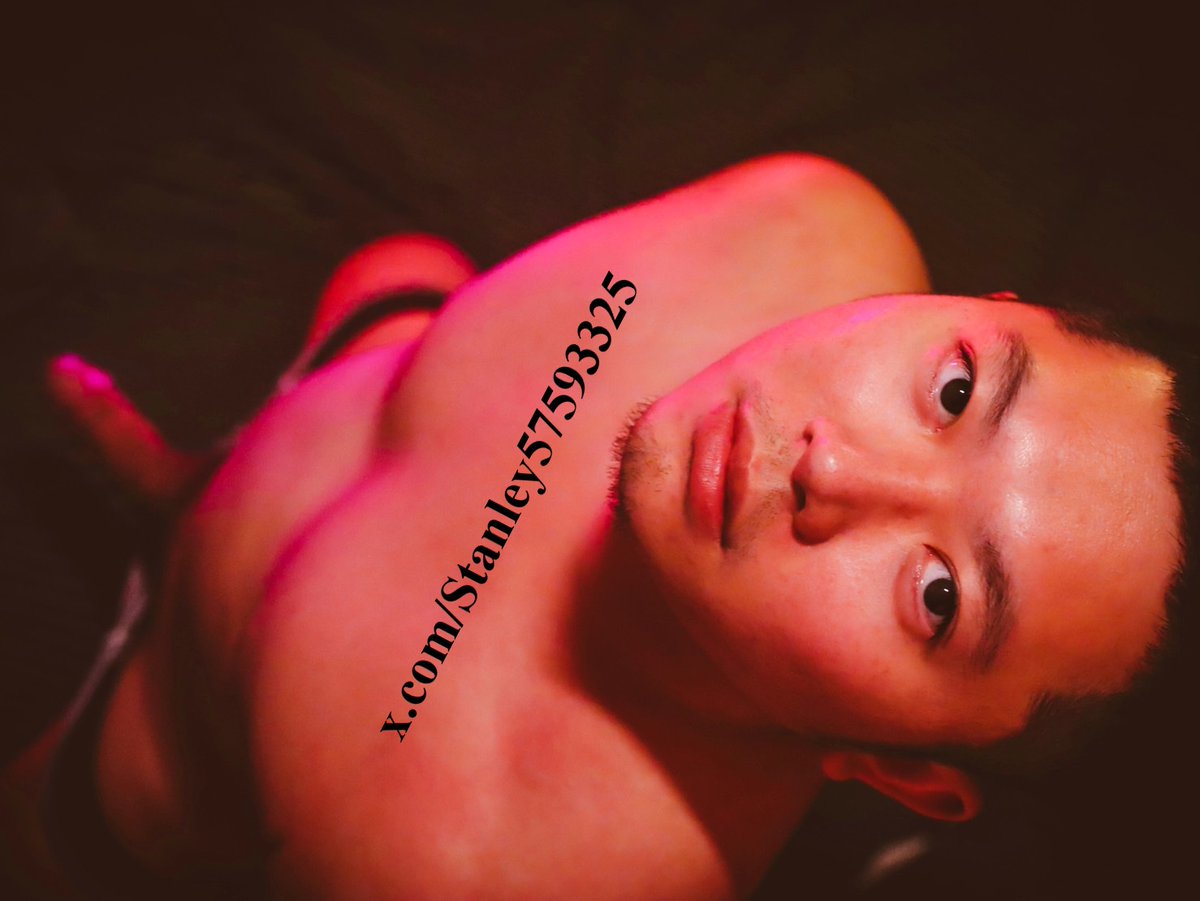 StanleyCatRider tweet media