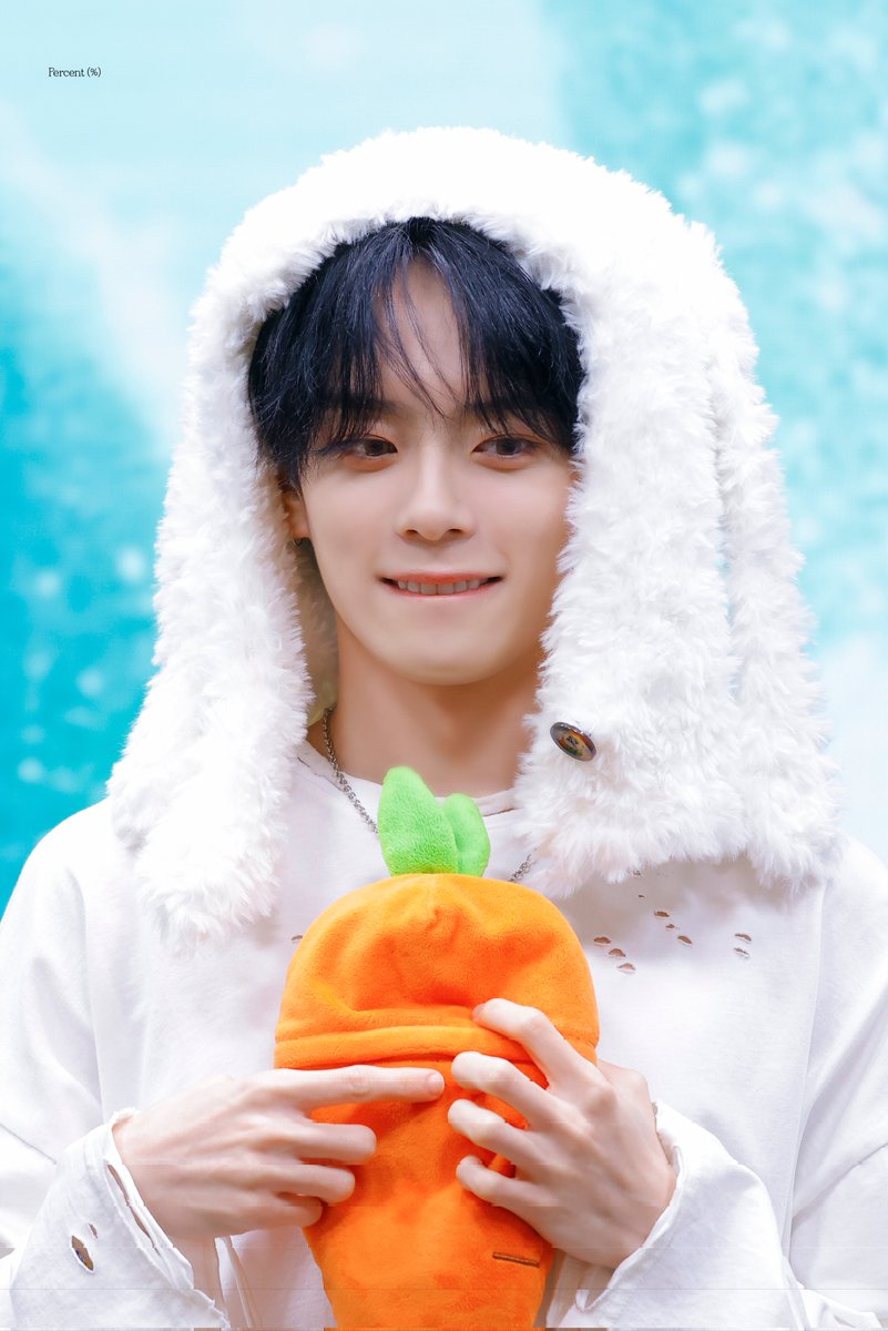 Percent (%) tweet media