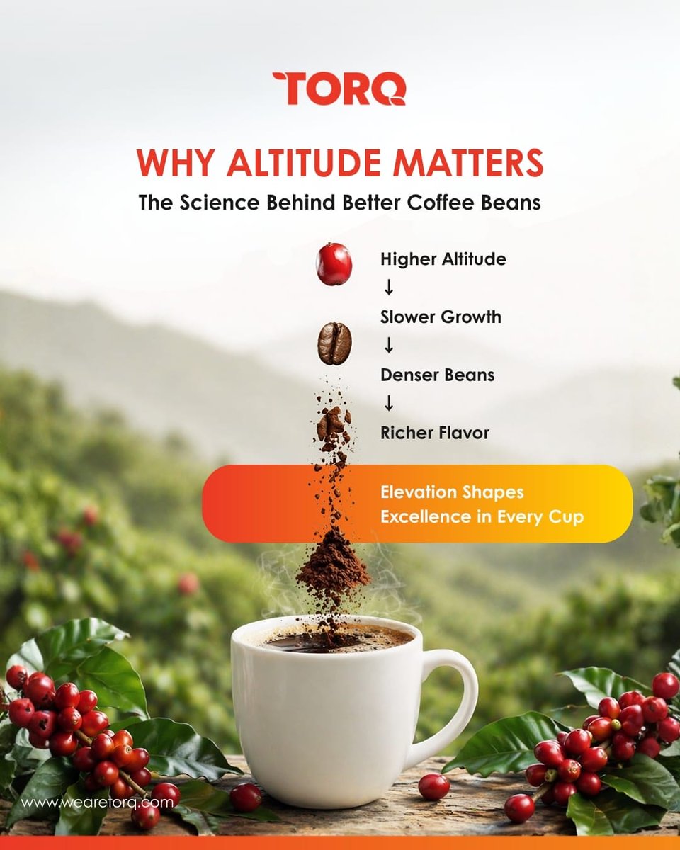CommoditiesTorq's tweet photo. Altitude shapes coffee more than you think.
From origin to market, elevation plays a key role in quality and demand.
#Coffee #AgriTrade #GlobalMarkets #CoffeeIndustry #TORQCommodities https://t.co/sQ3QmhWFwo