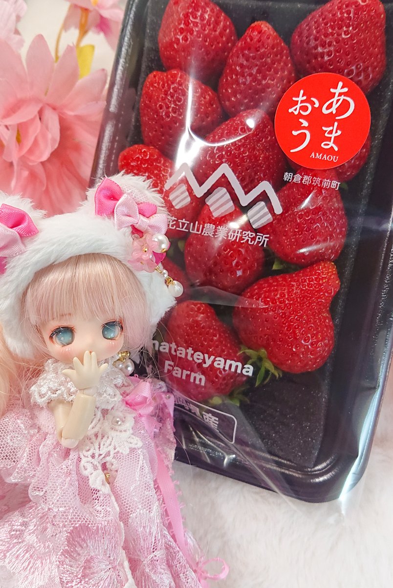 瑠璃.:*ʚïɞ*:.✿*:･ tweet media